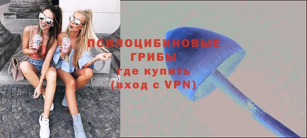 apvp Армянск
