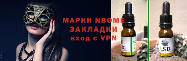 мдпв Арсеньев