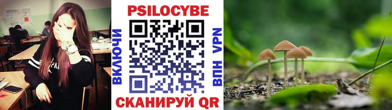 что такое   Сосенский  Галлюциногенные грибы Magic Shrooms 